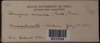 Image Associated With the Occurence